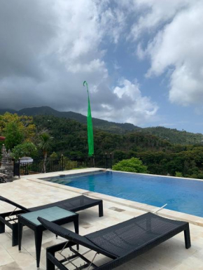 Villa Kubu Diar's